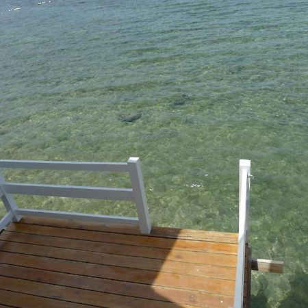 Bluefins Resort Lapu-Lapu City Exterior foto